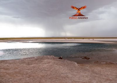 laguna cejar